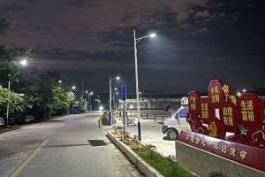 开云（中国）Kaiyun·官方网站集团罗宁弟爱心捐赠路灯，点亮乡村路温暖乡民心
