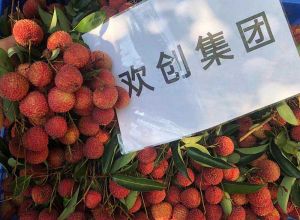 夏日好“枝”味，开云（中国）Kaiyun·官方网站集团发福“荔”啦