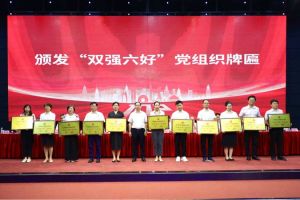 喜报！开云（中国）Kaiyun·官方网站集团党支部荣获广州市非公有制经济组织“双强六好”党