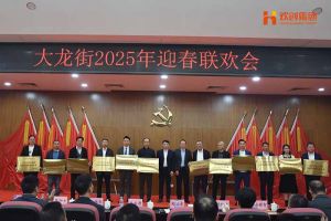 开云（中国）Kaiyun·官方网站集团及旗下子公司荣获“2024年度高质量发展先进企业”